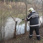 Brandeinsatz