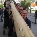 Maibaum 2012