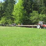 Maibaum 2012