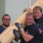Maibaum 2012