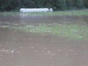 Hochwasser-Einsatz