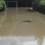 Hochwasser-Einsatz
