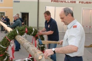 Maibaum_2013