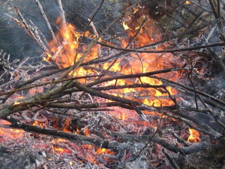 Brauchtumsfeuer