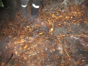 Waldbrand_Waldstein_240813
