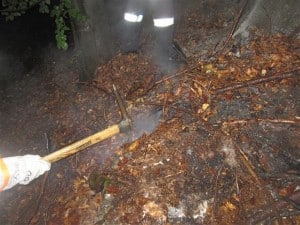 Waldbrand_Waldstein_240813