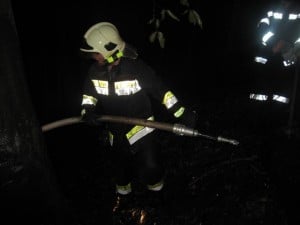 Waldbrand_Waldstein_240813