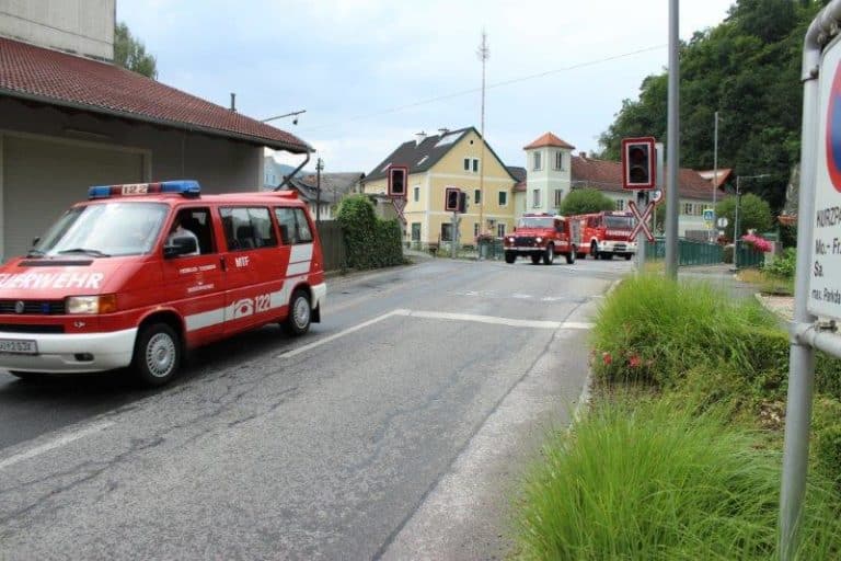 Siedeln_FFNEU_2015