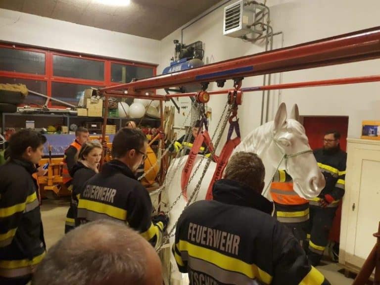 Winterschulung Großtier-Rettung